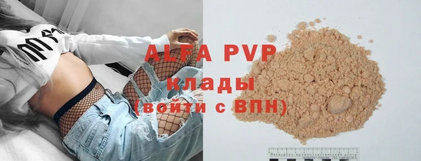 хмурый Арсеньев