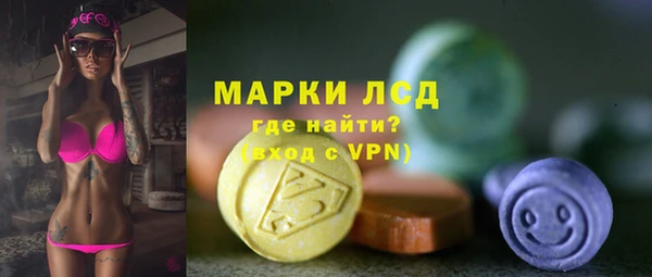 хмурый Арсеньев
