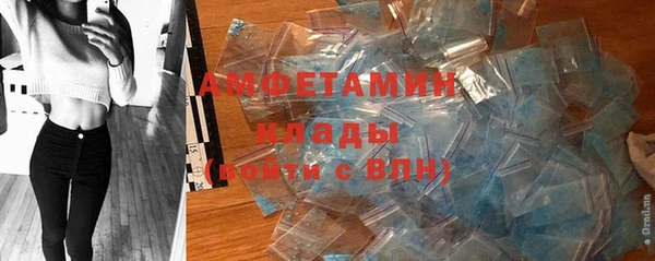 хмурый Арсеньев