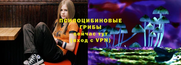 хмурый Арсеньев