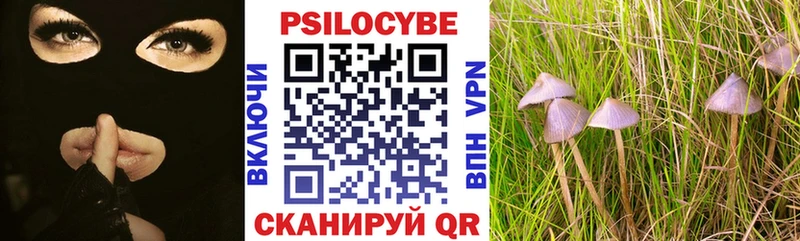 Псилоцибиновые грибы Psilocybine cubensis Купить Североморск